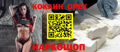 гашик Новодвинск
