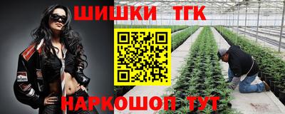 Альфа ПВП Новокубанск
