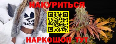гашик Новодвинск
