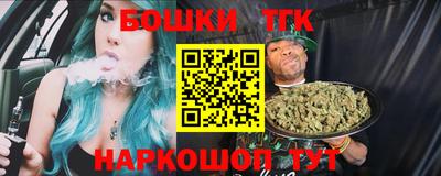 гашик Новодвинск