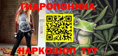 гашик Новодвинск