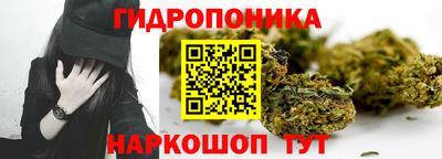 Альфа ПВП Новокубанск