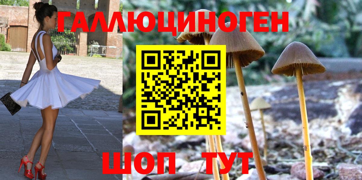 Кореновск  Псилоцибиновые грибы MAGIC MUSHROOMS  Вход с VPN 