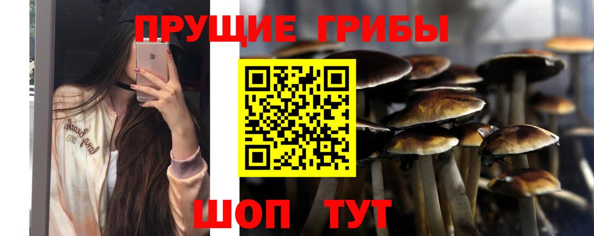 Галлюциногенные грибы мухоморы Кореновск